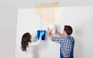 Prompt Mould Removal and Remediation Brisbane