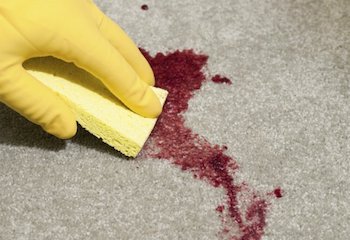 Blood Contamination Cleaning Toowoomba
