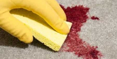 Blood Cleaning Services